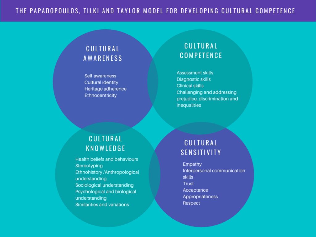 Enhancing Nursing Students’ Cultural Competence | Laurea Journal