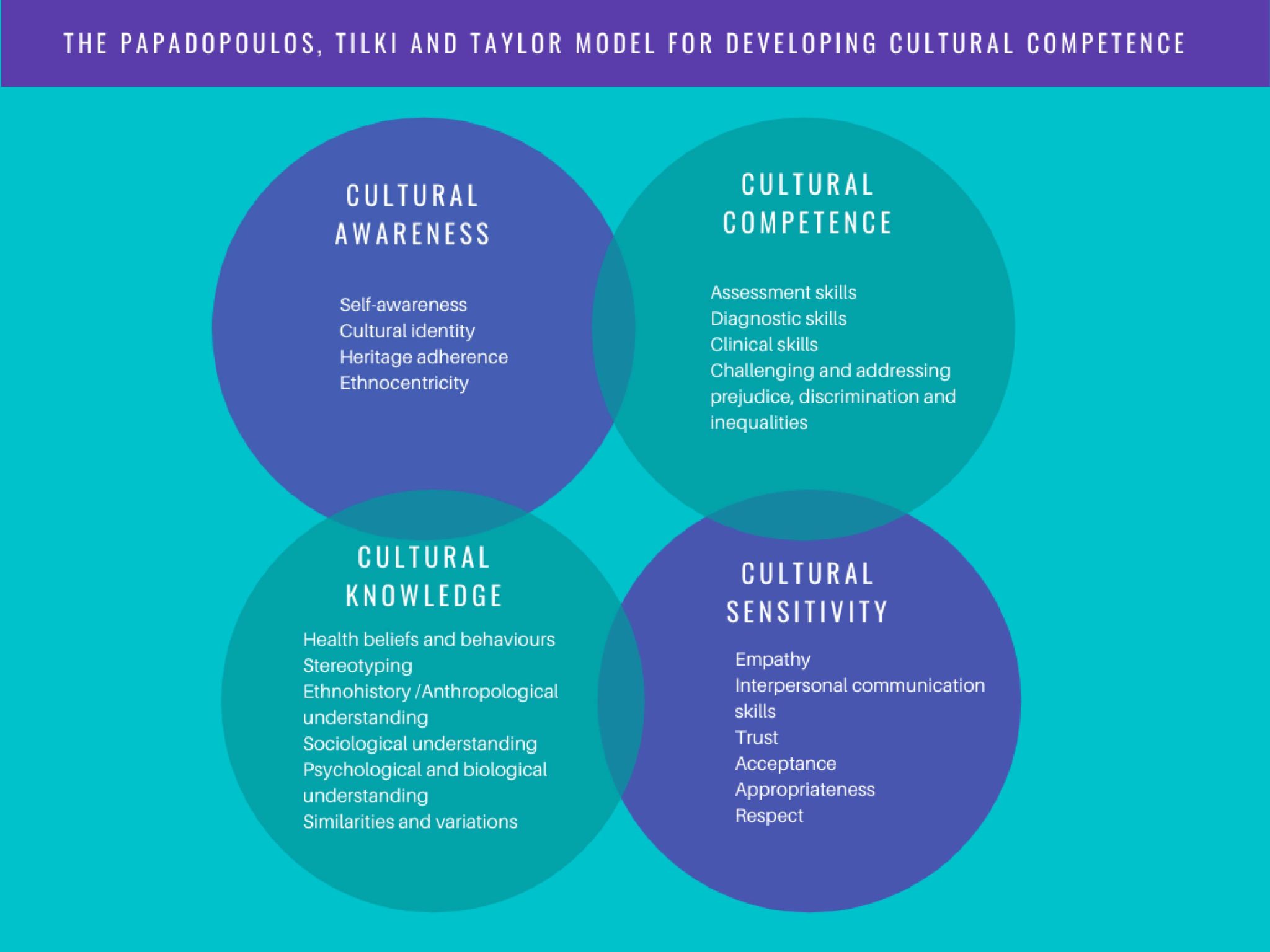 Enhancing Nursing Students’ Cultural Competence | Laurea Journal