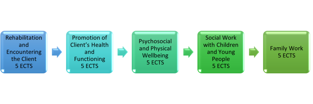 Opintojjaksot ovat nimeltään: Rehabilitation and Encountering the Client 5 ECTS, Promotion of Client’s Health and Functioning 5 ECTS, Psychosocial and Physical Wellbeing 5 ECTS, Social Work with Children and Young People 5 ECTS and Family Work 5 ECTS.