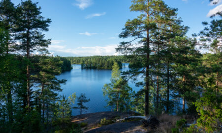kuvituskuva.