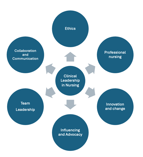 framework consists of six domains which are ethics, professional nursing, innovation and change, influencing and advocacy, team leadership and communication and collaboration.