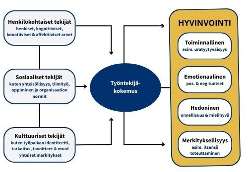 kuvion keskeinen sisältö on avattu tekstissä. 