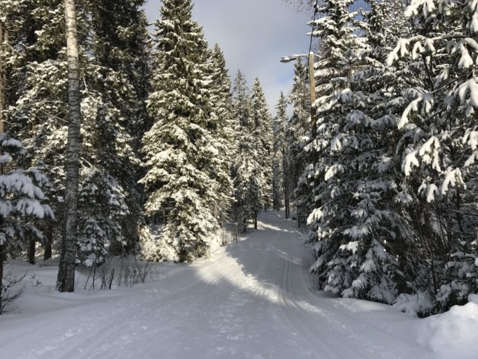 Kuvituskuva.