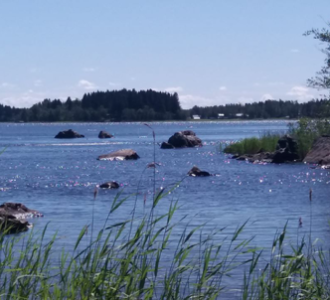 kuvituskuva.