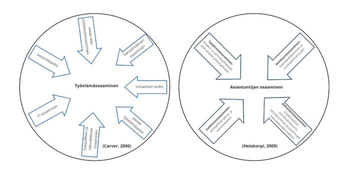 Carverin mukaan työelämäosaaminen syntyy seitsemän osa-alueen kautta: IT-osaaminen, viestintätaidot, oman alan substanssiosaaminen, kansainvälinen osaaminen, sosiaaliset taidot, yleiset työelämätaidot, kaupallinen ja taloudellinen osaaminen. Helakorpi on määritellyt asiantuntijan osaamisen rakentuvan substanssiosaamisesta, joka sisältää ammatilliset perus- ja toimintataidot. Työyhteisöosaamisesta, joka sisältää asiakas- ja verkostoyhteistyön taidot sekä sisäiset yhteistyötaidot. Kehittymisosaamisesta, joka sisältää itsensä kehittämisen taidot ja innovaatiovalmiudet. Kehittämisosaamisesta, joka sisältää organisaation toimintakulttuurin omaksumisen taidot sekä toimintojen kokonaisuuden hallinnan.