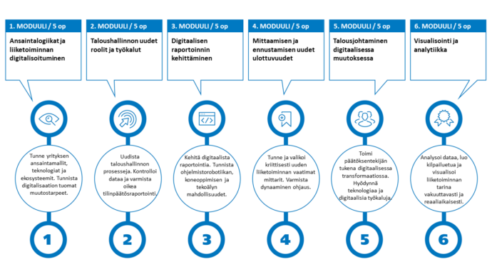 Erikoistumiskoulutuksessa oli kuusi viiden opintopisteen laajuista moduulia: 1. Ansaintalogiikat ja liiketoiminnan digitalisoituminen, 2. Taloushallinnon uudet roolit ja työkalut, 3. Digitaalisen raportoinnin kehittäminen, 4. Mittaamisen ja ennustamisen uudet ulottuvuudet, 5. Talousjohtaminen digitaalisessa muutoksessa ja 6. Visualisointi ja analytiikka.