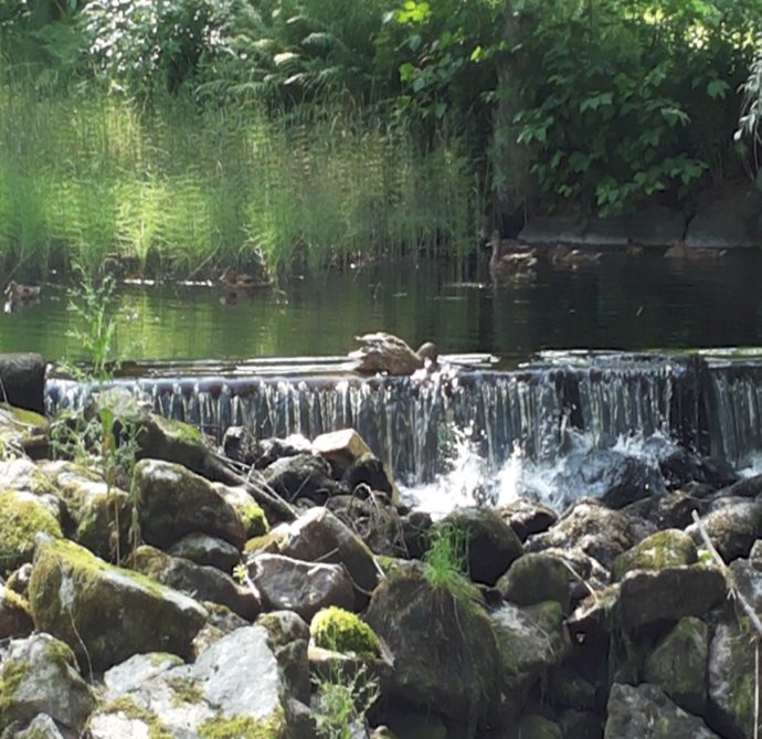 kuvituskuva