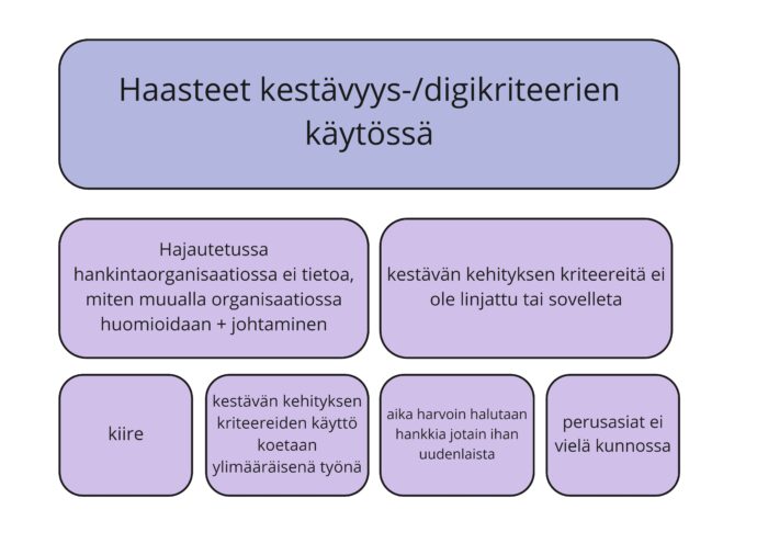 Kestävän kehityksen tai digitaalisten kriteerien käytön haasteet visuaalisessa muodossa.
