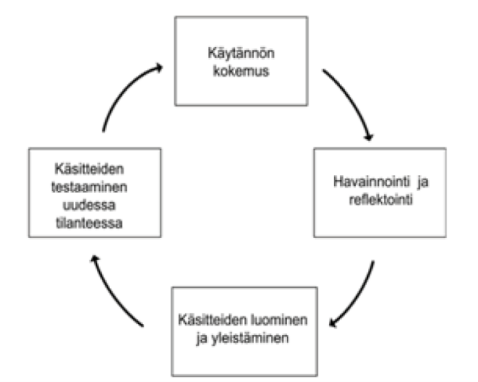 Kolbin oppimisen pyörä kuvana: käytännön kokemus, havainnointi ja reflektointi, käsitteiden luominen ja yleistäminen sekä käsitteiden testaaminen uudessa tilanteessa.
