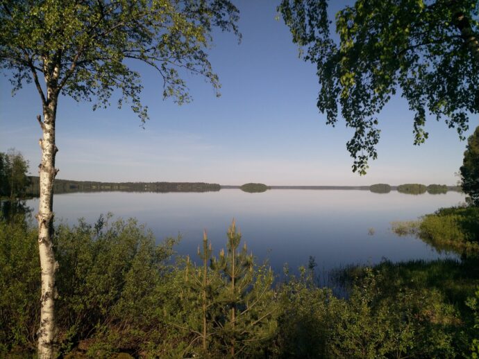 kuva kesäisestä maisemasta