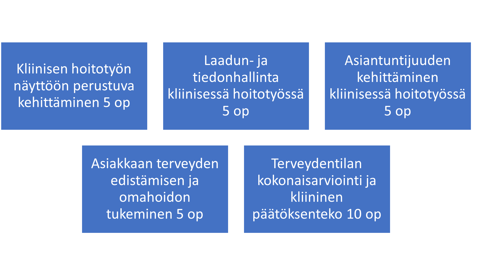 koulutuksen ydinosaamisen opinnot koostuvat neljästä viiden opintopisteen laajuisesta opinnosta; kliinisen hoitotyön näyttöön perustuva kehittäminen, laadun- ja tiedonhallinta kliinisessä hoitotyössä, asiantuntijuuden kehittäminen kliinisessä hoitotyössä ja asiakkaan terveyden edistämisen ja omahoidon tukeminen sekä yhdestä kymmenen opintopisteen laajuisesta opinnosta; terveydentilan kokonaisarviointi ja kliininen päätöksenteko.