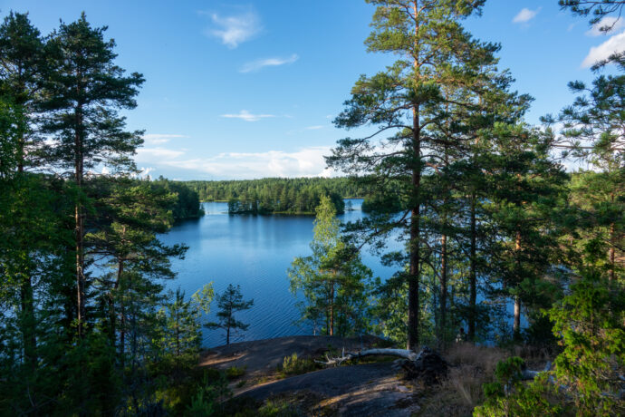 kuvituskuva.