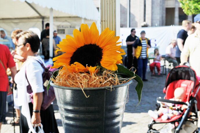 illustration.