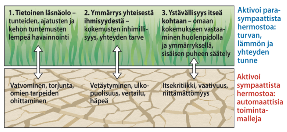 Kuvion vihreässä yläosassa kuvataan itsemyötäelämisen elementit: tietoinen läsnäolo, ymmärrys yhteisestä ihmisyydestä ja ystävällisyys itseä kohtaan. Viereen on kirjoitettu sinisellä, elementtien aktivoivan parasympaattista hermostoa, joka tuottaa turvan tunnetta. Alaosassa beigellä taustalla ovat elementtien negatiiviset vastineet: vatvominen, ulkopuolisuus ja itsekritiikki. Näiden vierellä on punaisella kuvattu niiden aikaansaama sympaattisen hermoston aktivointi, joka tuottaa automaattisia toiminteita.