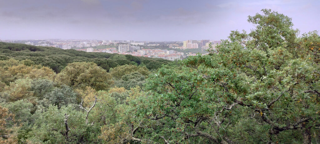 Näkymä Monsanton biodiversiteettipuiston yli, horisontissa siintää Lissabon.